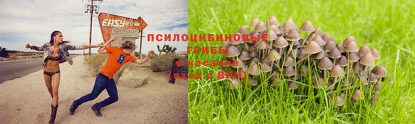 прущие крисы Наволоки